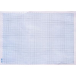 Hartie milimetrica A3 Casa Tipografica set 100