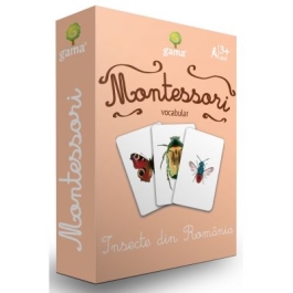 Insecte din Romania. Carti de joc Montessori vocabular