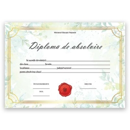 Diploma de absolvire (DZC03)