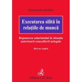 Executarea silita in relatiile de munca. Repunerea salariatului in situatia anterioara concedierii nelegale - Razvan Anghel