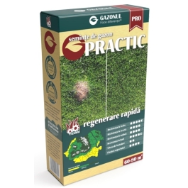 Seminte gazon Practic 0.75 kg, Gazonul