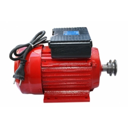 Motor electric 3.0 kW 3000rpm TROIAN ROSU