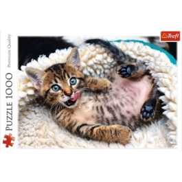 Puzzle pisica vesela 1000 piese