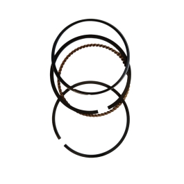 Segment piston motopompa