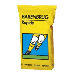 Seminte gazon Rapide, 5 kg, Barenbrug