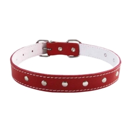 Zgarda Ornamente Rosie 12/360 mm 4Dog