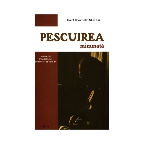 Pescuirea minunata - Constantin Necula