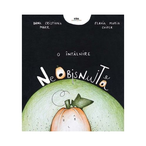 O intalnire neobisnuita - Flavia Chiper Dana Cristina Maier
