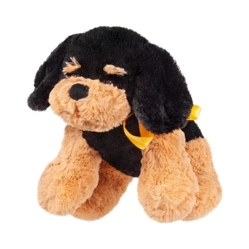 Catelus de plus Rottweiler 35 cm