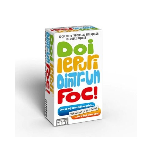 WDYM Doi iepuri dintr-un foc. Jocul de petrecere al situatiilor cu dublu inteles