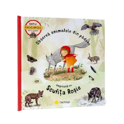 Observa animalele din padure impreuna cu Scufita Rosie