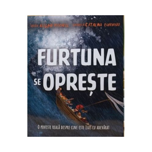 Furtuna se opreste. Seria Povesti care spun adevarul - Alison Mitchell