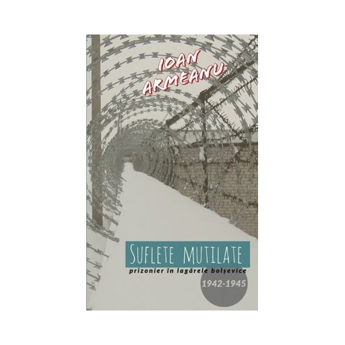 Suflete mutilate - Ioan Armeanu