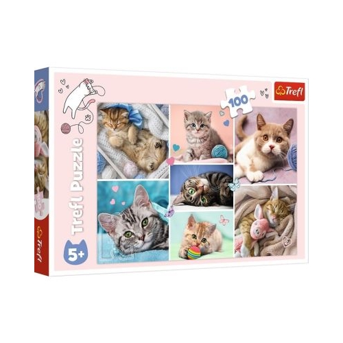Puzzle 100 In lumea pisicilor Trefl