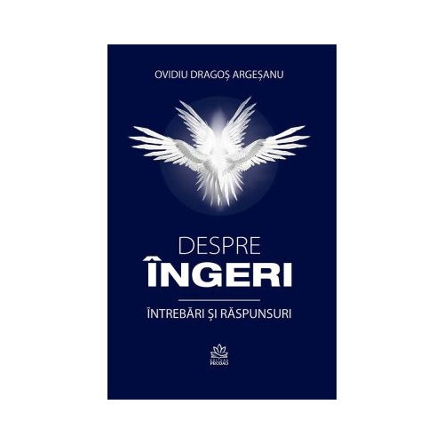 Despre ingeri - intrebari si raspunsuri - Ovidiu Dragos Argesanu