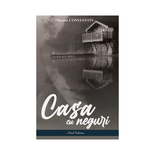 Casa cu neguri - Theodor Constantin