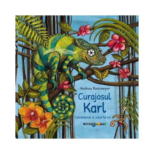 Curajosul Karl. Cameleonul si culorile lui - Andrea Reitmeyer