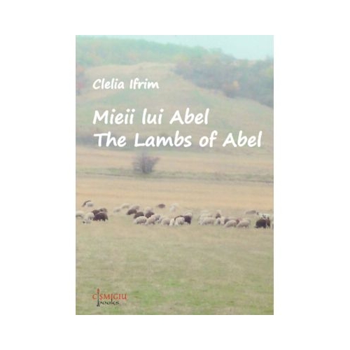 Mieii lui Abel - Clelia Ifrim