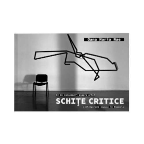 Schite critice. 22 de consemnari asupra artei contemporane expuse in Romania - Oana Maria Nae