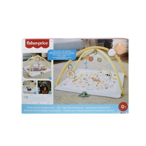 Salteluta de activitati Fisher Price