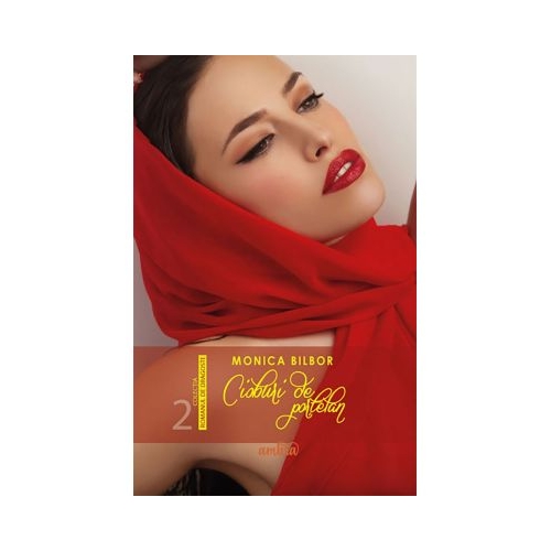 Cioburi de portelan - Monica Bilbor