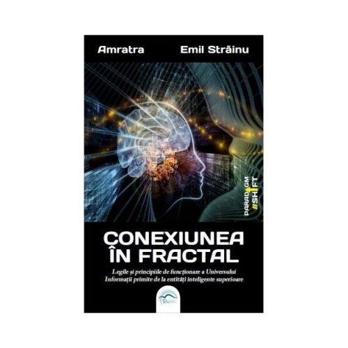 Conexiunea in fractal. Legile si principiile de functionare a Universului - Emil Strainu