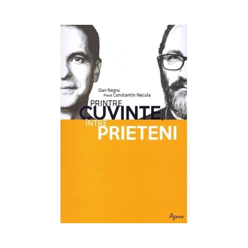 Printre cuvinte intre prieteni - Constantin Necula