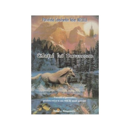 Calutul lui Dumnezeu - Constantin Necula