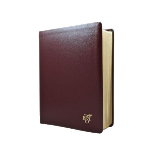 Biblia Internatonala de Studiu Inductiv BISI visinie