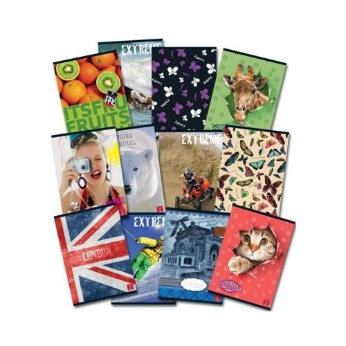 Set 5 Caiete matematica A4 80 file Pigna C14