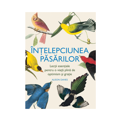 Intelepciunea pasarilor - Alison Davies