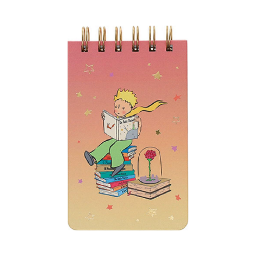 Carnet Le Petit Prince Degrade Kiub