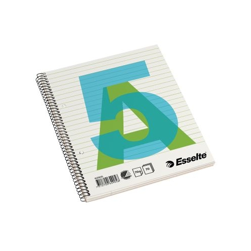 Caiet de birou Esselte A5 cu spira dictando