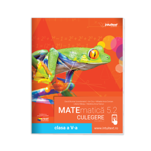 Culegere de matematica. Clasa a 5-a. Volumul 2 - Ion Cicu