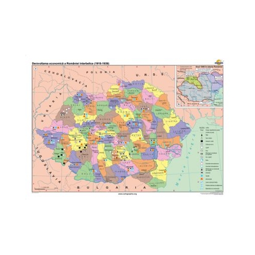 Dezvoltarea economica a Romaniei interbelice 1919-1938 140x100 cm CR-3224B