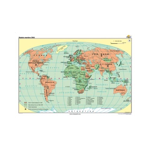 Statele membre ONU 160x120 cm CR-3233A