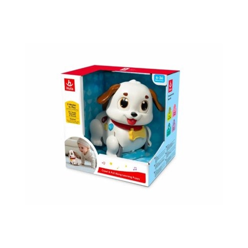 CATELUS INTERACTIV CU SUNETE SI LUMINI