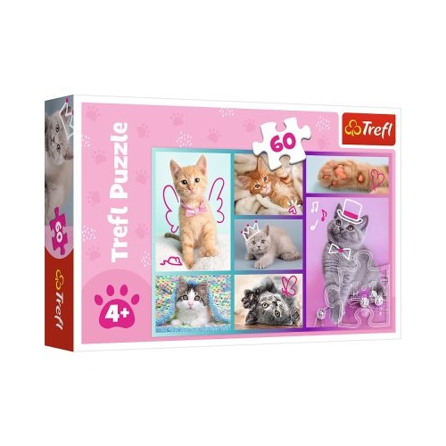 PUZZLE TREFL 60 PISICUTE DRAGUTE