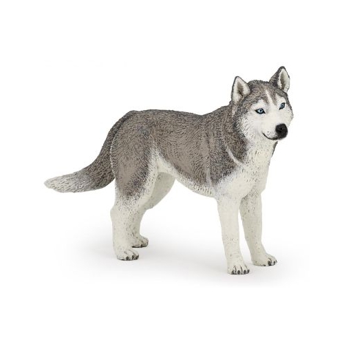 PAPO FIGURINA HUSKY SIBERIAN