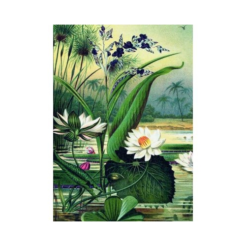 Puzzle 1000 piese  saculet Nuferi Kiub