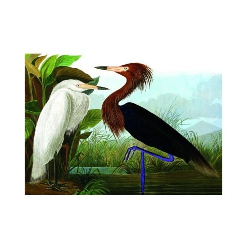 Puzzle 1000 piese  saculet Starci Kiub