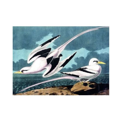 Puzzle 1000 piese  saculet Pescarusi Kiub