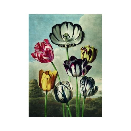 Puzzle 1000 piese  saculet Lalele Kiub