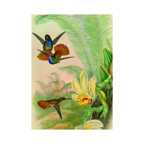 Puzzle 1000 piese  saculet Colibri Kiub