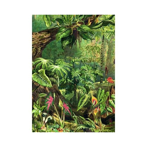 Puzzle 1000 piese  saculet Jungla Kiub