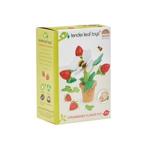 Joc Capsuni in ghiveci Strawberry Flower Pot 13 piese