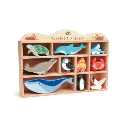 Animalutele apelor pe raft Coastal Creatures 10 piese