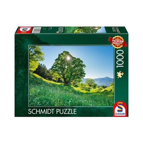 Puzzle 1000 piese Pajistea St. Gallen Elvetia Schmidt