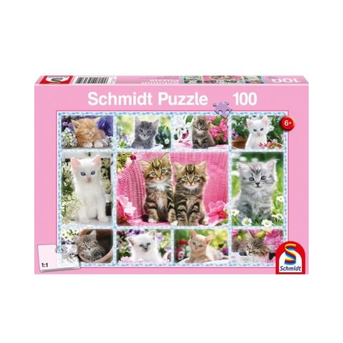 Puzzle 100 piese Pisoiasi Schmidt