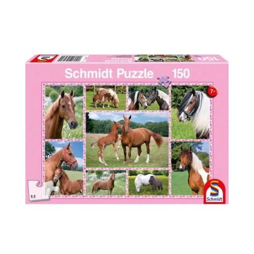 Puzzle 150 piese Cai fermecatori Schmidt